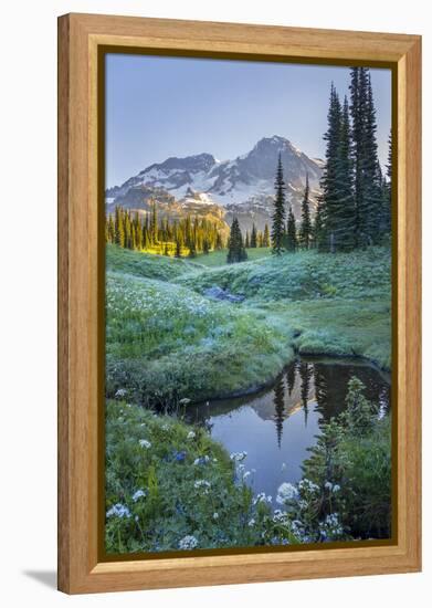 USA. Washington State. Mt. Rainier reflected in tarn amid wildflowers, Mt. Rainier National Park.-Gary Luhm-Framed Premier Image Canvas