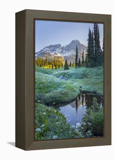 USA. Washington State. Mt. Rainier reflected in tarn amid wildflowers, Mt. Rainier National Park.-Gary Luhm-Framed Premier Image Canvas