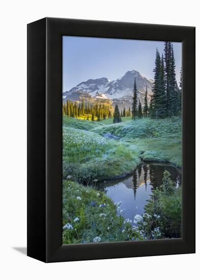 USA. Washington State. Mt. Rainier reflected in tarn amid wildflowers, Mt. Rainier National Park.-Gary Luhm-Framed Premier Image Canvas