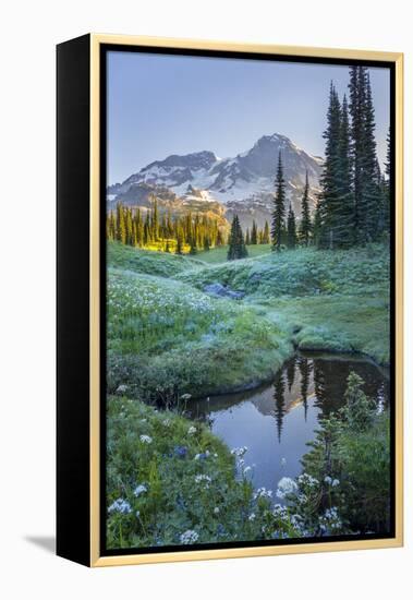 USA. Washington State. Mt. Rainier reflected in tarn amid wildflowers, Mt. Rainier National Park.-Gary Luhm-Framed Premier Image Canvas