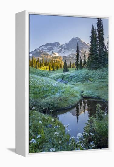 USA. Washington State. Mt. Rainier reflected in tarn amid wildflowers, Mt. Rainier National Park.-Gary Luhm-Framed Premier Image Canvas