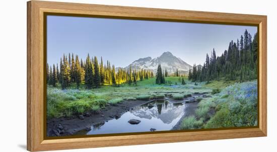 USA. Washington State. Mt. Rainier reflected in tarn amid wildflowers, Mt. Rainier National Park.-Gary Luhm-Framed Premier Image Canvas