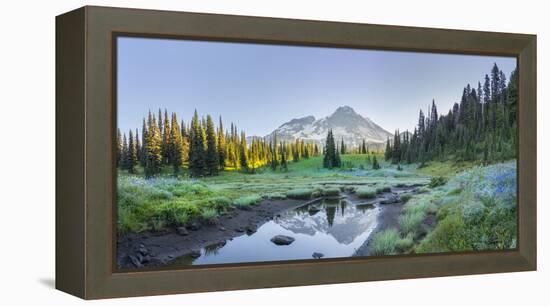 USA. Washington State. Mt. Rainier reflected in tarn amid wildflowers, Mt. Rainier National Park.-Gary Luhm-Framed Premier Image Canvas