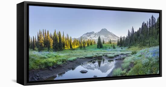 USA. Washington State. Mt. Rainier reflected in tarn amid wildflowers, Mt. Rainier National Park.-Gary Luhm-Framed Premier Image Canvas