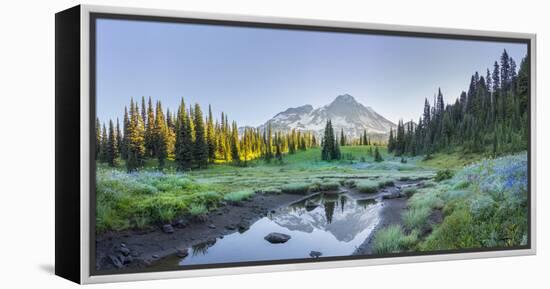 USA. Washington State. Mt. Rainier reflected in tarn amid wildflowers, Mt. Rainier National Park.-Gary Luhm-Framed Premier Image Canvas