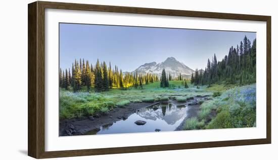 USA. Washington State. Mt. Rainier reflected in tarn amid wildflowers, Mt. Rainier National Park.-Gary Luhm-Framed Photographic Print