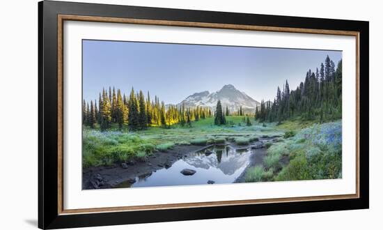 USA. Washington State. Mt. Rainier reflected in tarn amid wildflowers, Mt. Rainier National Park.-Gary Luhm-Framed Photographic Print