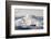 USA, Washington State, Mt Rainier with Cap Cloud-Trish Drury-Framed Photographic Print