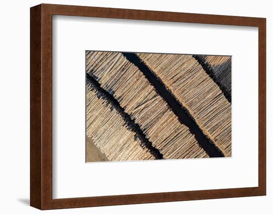 USA, Washington State, Olympia. Logs in piles at Port of Olympia.-Merrill Images-Framed Photographic Print