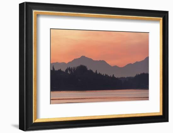 USA, Washington State. Olympic Mountains silhouetted in dramatic light. Calm Puget Sound.-Trish Drury-Framed Photographic Print