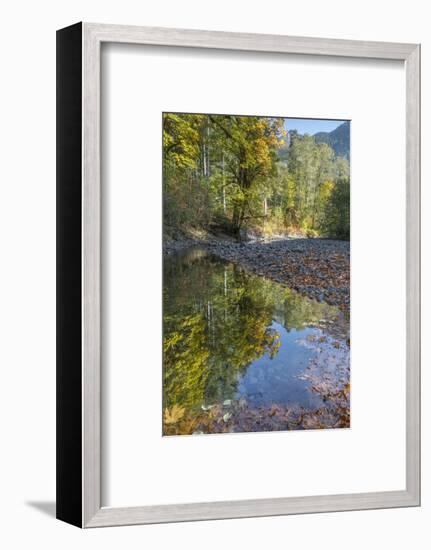 USA, Washington State, Olympic National Forest. Fall forest colors reflect in water.-Jaynes Gallery-Framed Photographic Print