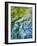 USA, Washington State. Olympic National Park, Sol Duc River abstract-Ann Collins-Framed Photographic Print