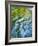 USA, Washington State. Olympic National Park, Sol Duc River abstract-Ann Collins-Framed Photographic Print