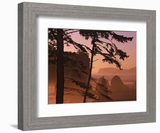 USA, Washington State, Olympic National Park. Sunset at Ruby Beach.-Jaynes Gallery-Framed Photographic Print