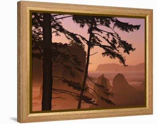 USA, Washington State, Olympic National Park. Sunset at Ruby Beach.-Jaynes Gallery-Framed Premier Image Canvas