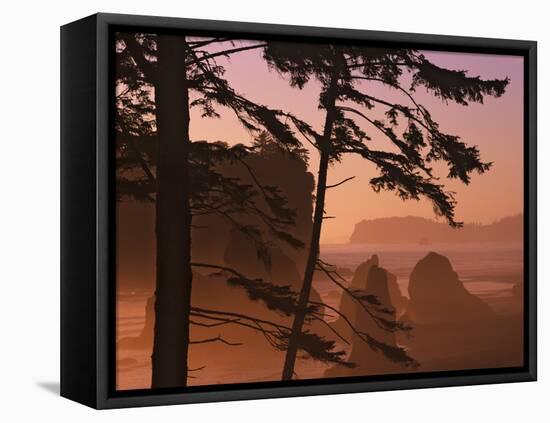 USA, Washington State, Olympic National Park. Sunset at Ruby Beach.-Jaynes Gallery-Framed Premier Image Canvas