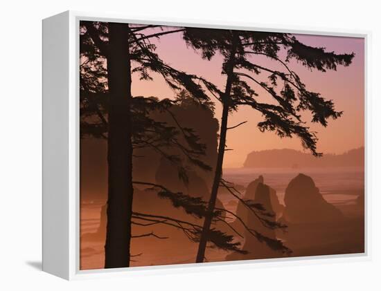 USA, Washington State, Olympic National Park. Sunset at Ruby Beach.-Jaynes Gallery-Framed Premier Image Canvas