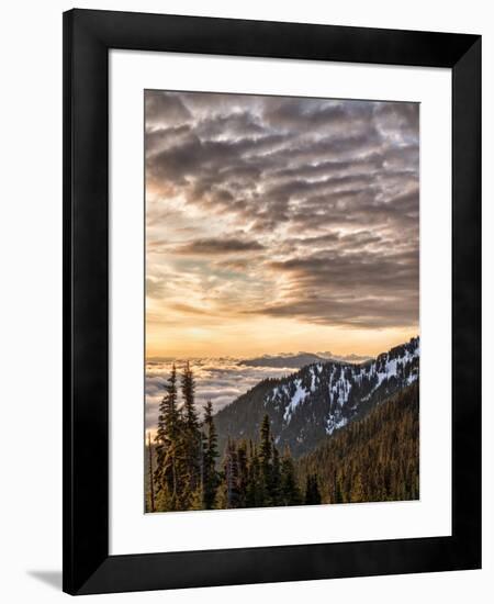 USA, Washington State, Olympic National Park, View towards Hurricane Ridge-Ann Collins-Framed Photographic Print