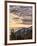 USA, Washington State, Olympic National Park, View towards Hurricane Ridge-Ann Collins-Framed Photographic Print