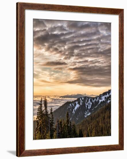 USA, Washington State, Olympic National Park, View towards Hurricane Ridge-Ann Collins-Framed Photographic Print