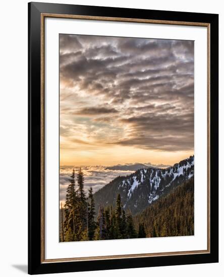 USA, Washington State, Olympic National Park, View towards Hurricane Ridge-Ann Collins-Framed Photographic Print