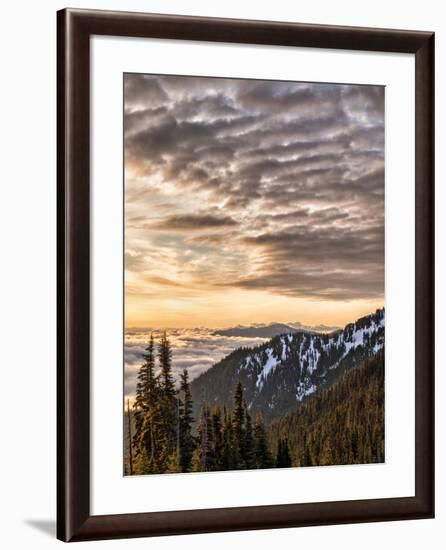 USA, Washington State, Olympic National Park, View towards Hurricane Ridge-Ann Collins-Framed Photographic Print