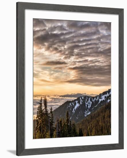 USA, Washington State, Olympic National Park, View towards Hurricane Ridge-Ann Collins-Framed Photographic Print