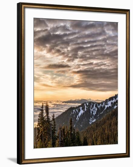 USA, Washington State, Olympic National Park, View towards Hurricane Ridge-Ann Collins-Framed Photographic Print