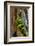 USA, Washington State, Olympic National Park, Wildflowers at Base of Tree-Hollice Looney-Framed Photographic Print