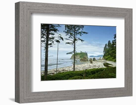 USA, Washington State. Olympic Peninsula, Ruby Beach-Michele Molinari-Framed Photographic Print