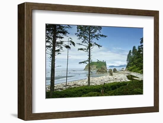 USA, Washington State. Olympic Peninsula, Ruby Beach-Michele Molinari-Framed Photographic Print