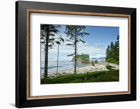 USA, Washington State. Olympic Peninsula, Ruby Beach-Michele Molinari-Framed Photographic Print