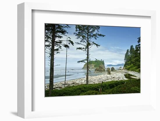 USA, Washington State. Olympic Peninsula, Ruby Beach-Michele Molinari-Framed Photographic Print