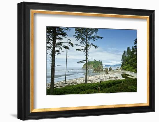 USA, Washington State. Olympic Peninsula, Ruby Beach-Michele Molinari-Framed Photographic Print