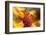 USA, Washington State, Palouse. Close-up of a Sunflower-Dennis Flaherty-Framed Photographic Print