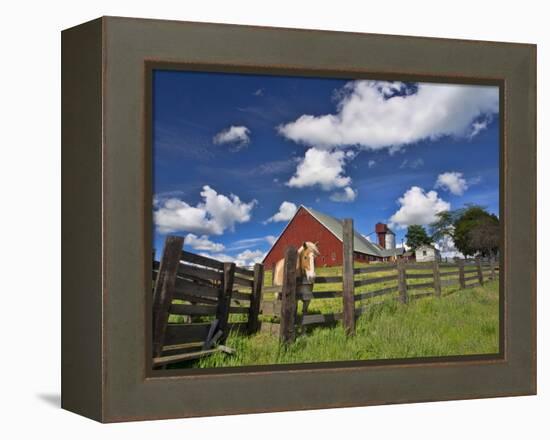 USA, Washington State, Palouse Country, Colfax, Old Red Barn with a Horse-Terry Eggers-Framed Premier Image Canvas