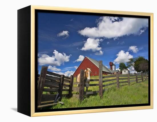 USA, Washington State, Palouse Country, Colfax, Old Red Barn with a Horse-Terry Eggers-Framed Premier Image Canvas