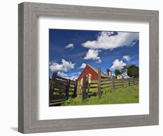 USA, Washington State, Palouse Country, Colfax, Old Red Barn with a Horse-Terry Eggers-Framed Photographic Print