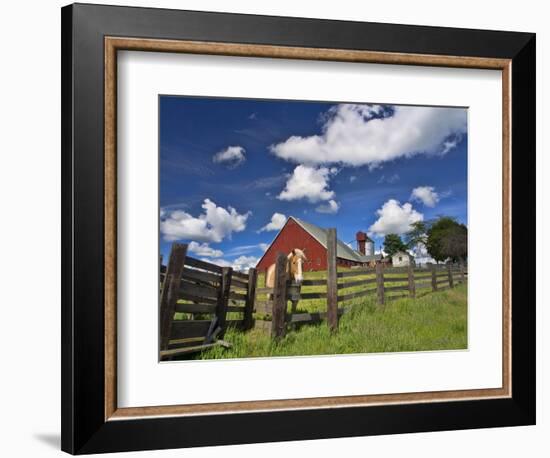 USA, Washington State, Palouse Country, Colfax, Old Red Barn with a Horse-Terry Eggers-Framed Photographic Print