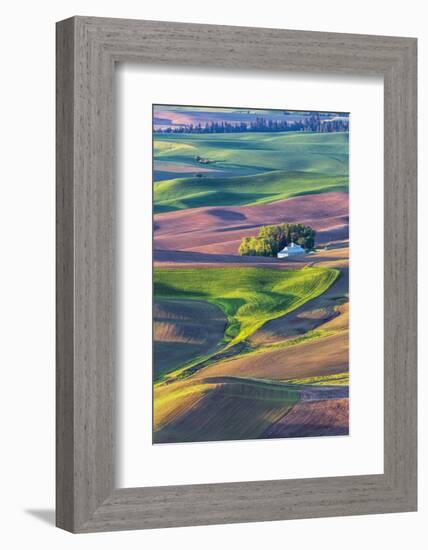 USA, Washington State, Palouse Country, Home stead in rolling hills of Wheat-Terry Eggers-Framed Photographic Print