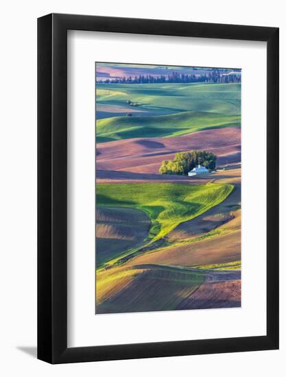 USA, Washington State, Palouse Country, Home stead in rolling hills of Wheat-Terry Eggers-Framed Photographic Print