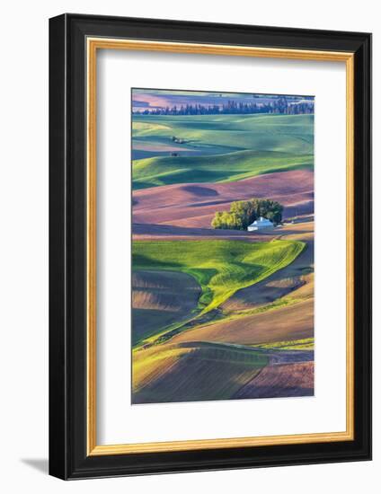 USA, Washington State, Palouse Country, Home stead in rolling hills of Wheat-Terry Eggers-Framed Photographic Print