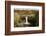 USA, Washington State. Palouse Falls State Park.-Alison Jones-Framed Photographic Print