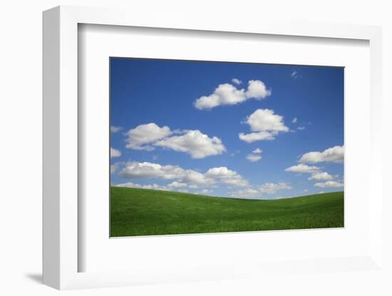 USA, Washington State, Palouse. Green Wheat Field Landscape-Dennis Flaherty-Framed Photographic Print