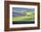 USA, Washington State, Palouse, Lone Tree in Wheat Field-Terry Eggers-Framed Photographic Print