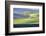 USA, Washington State, Palouse, Lone Tree in Wheat Field-Terry Eggers-Framed Photographic Print