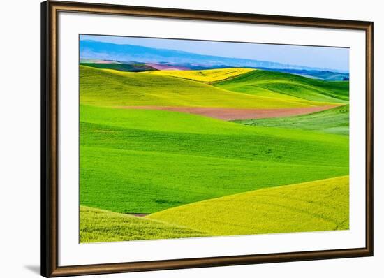 USA, Washington State, Palouse overview of wheat fields from above-Sylvia Gulin-Framed Photographic Print