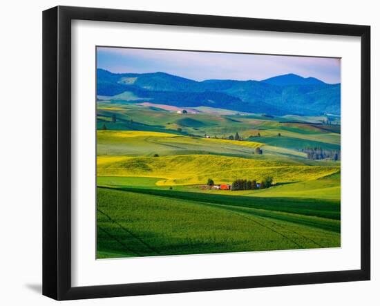 USA, Washington State, Palouse overview of wheat fields from above-Sylvia Gulin-Framed Photographic Print