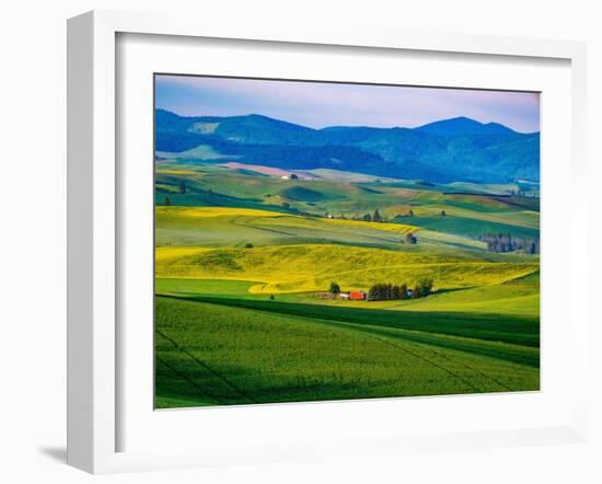 USA, Washington State, Palouse overview of wheat fields from above-Sylvia Gulin-Framed Photographic Print