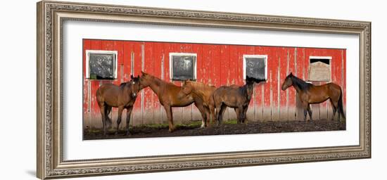 USA, Washington State, Palouse. Panoramic of horses next to red barn.-Jaynes Gallery-Framed Photographic Print